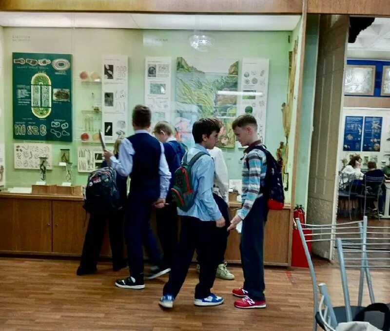 Лесотундра россии - положение, характеристика и уникальность флоры и фауны