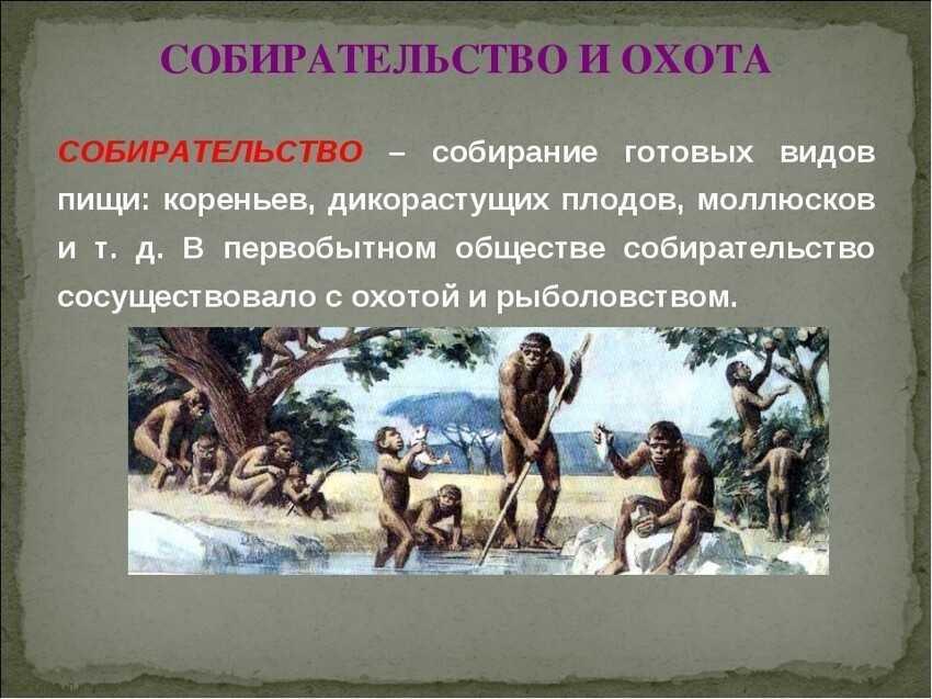 Что такое первобытное человеческое стадо