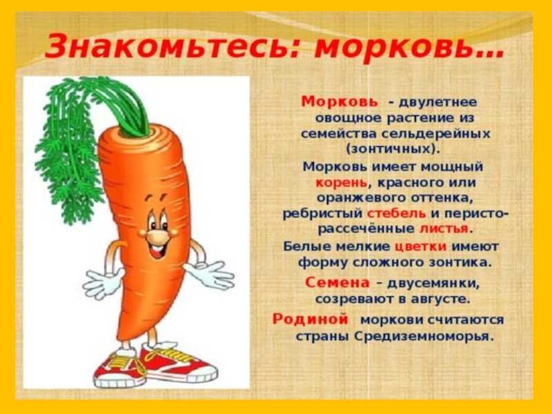Как оформить доклад в школу: образец