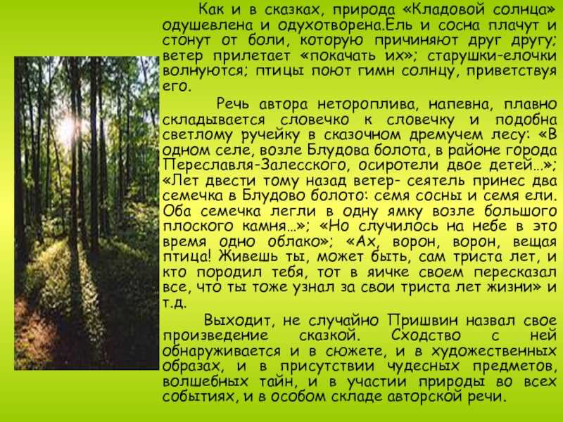 Сочинение что можно делать в лесу