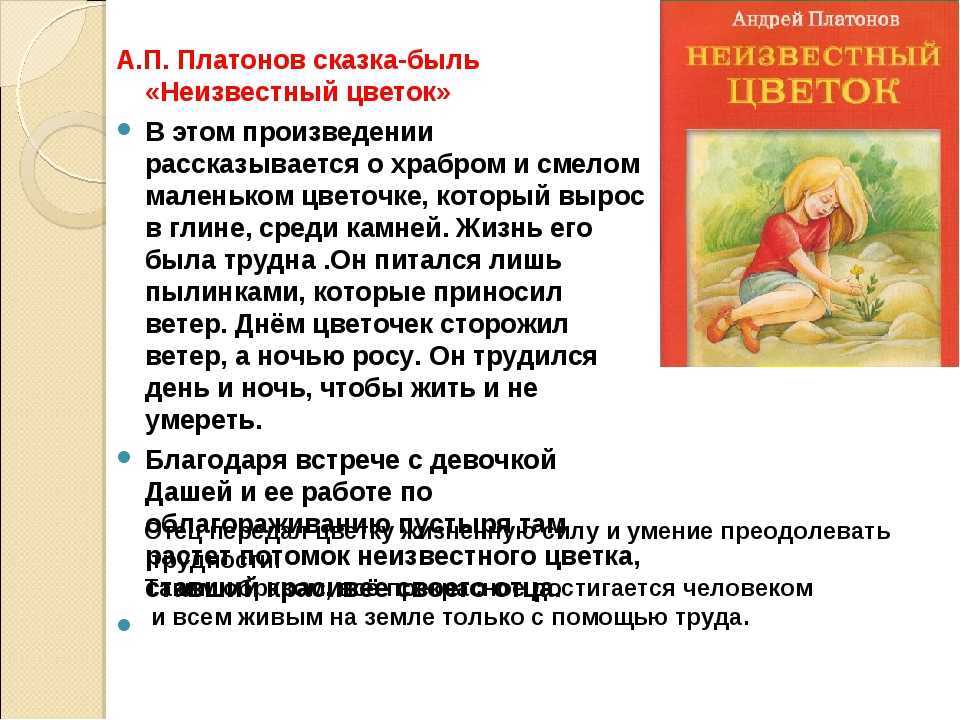 Краткое содержание «неизвестный цветок» за 1 минуту и подробно за 3 минуты