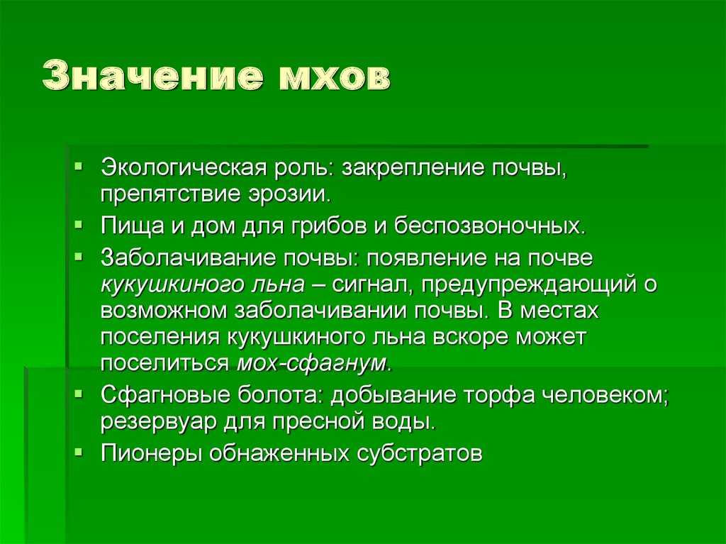 Мох⭐️: определение, его виды, представители, жизненный цикл, строение, особенности и характеристики