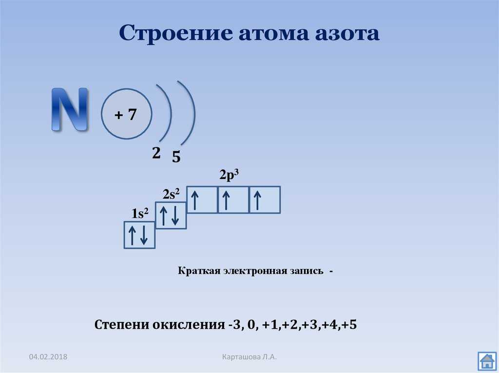 Почему именно углерод основа жизни на земле