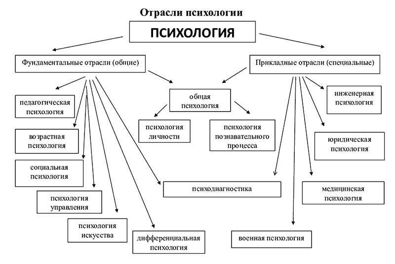 Основные отрасли психологии - характеристика основных разделов и отраслей психологии