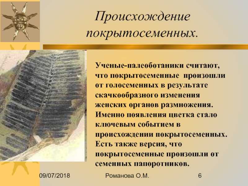 Палеоботаника