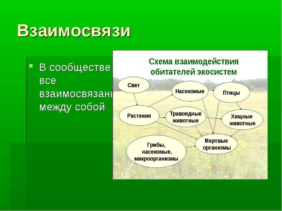 Какие существуют химические свойства?